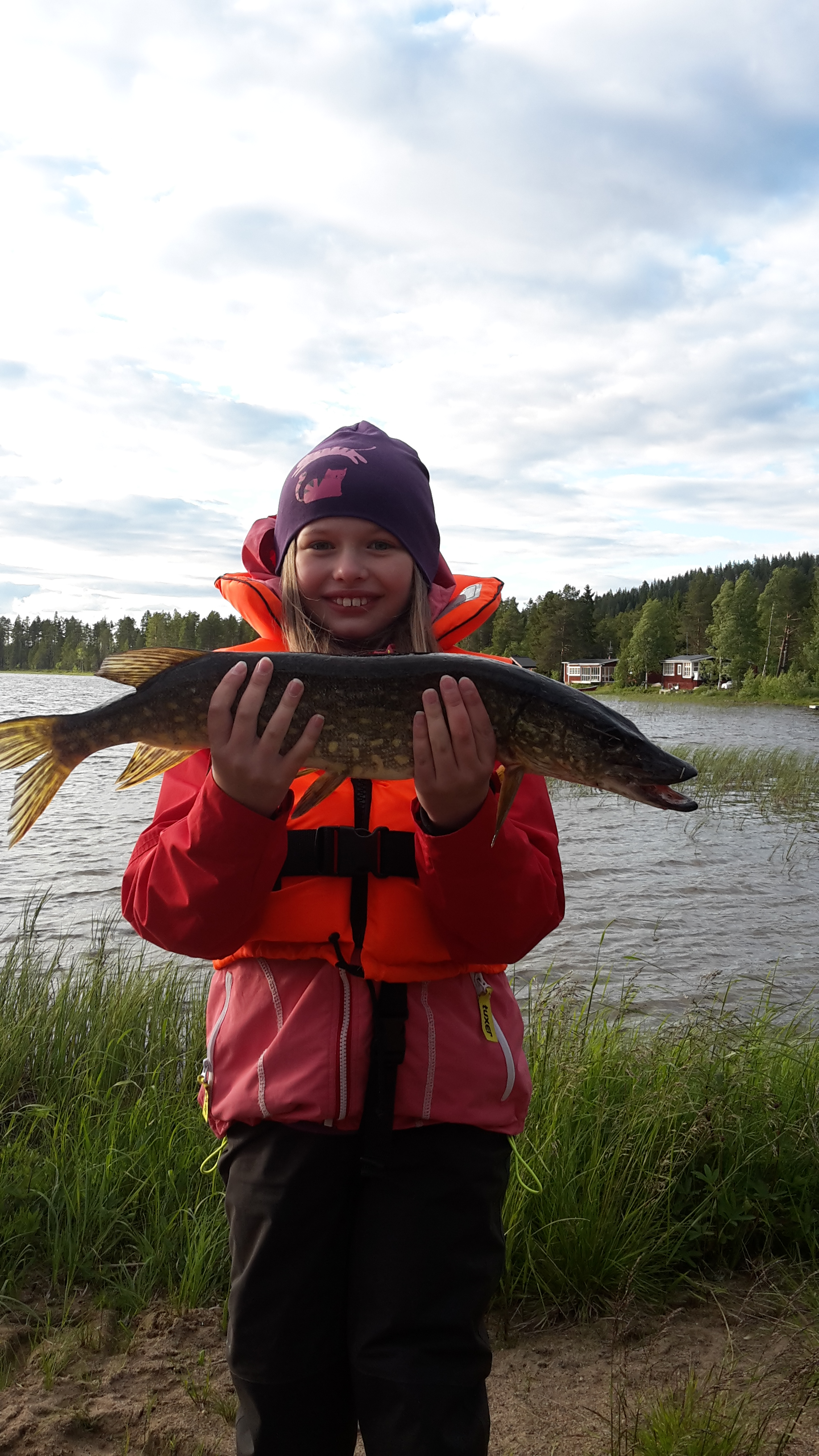 61cm Viola Bergström
