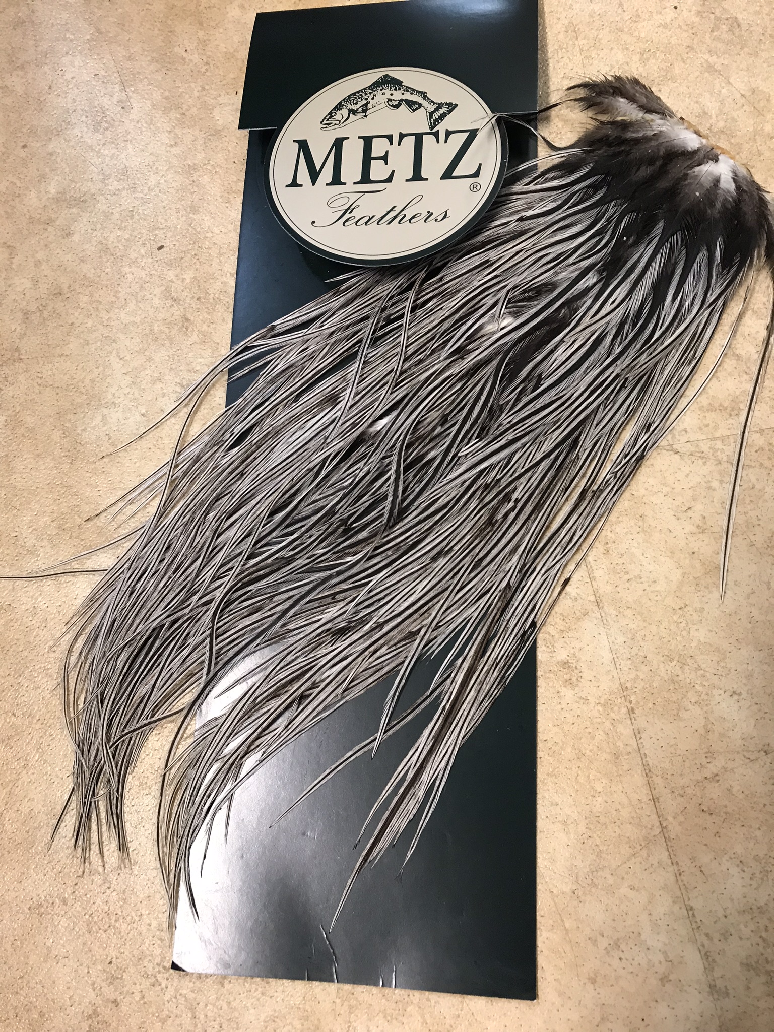 Metz Cock  Saddle Silver Badger Saddle grade 2