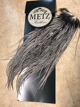 Metz Cock  Saddle Silver Badger Saddle grade 2