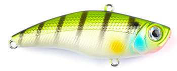 Shake Express Striped Bass 65mm /15g
