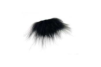 Isbjörn Black