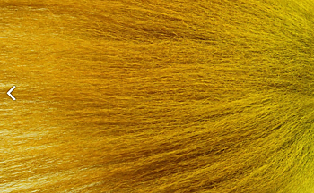 Snowrunner Moss Green