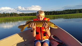 71cm Elias Grensell