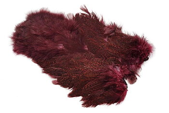 Coq De Leon Hen SH/C Speckled dyed Burgundy