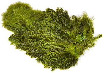 Coq De Leon Hen SH/C Speckled dyed Fl. Green Chartreuse