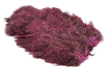Coq De Leon Hen SH/C Speckled dyed Pink