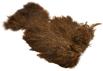 Coq De Leon Hen SH/C Speckled dyed Medium Ginger