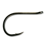 Chinu (Carp)