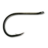 Chinu (Carp)