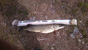 100cm Simon Nilsson