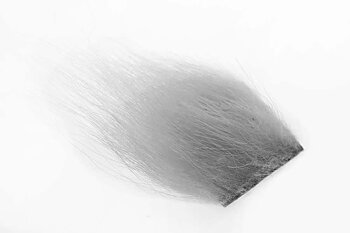 Isbjörn Grey