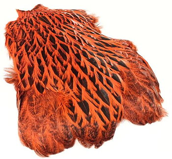 Freshwater Hen Capes Orange