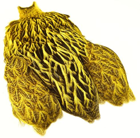 Freshwater Hen Capes Yellow