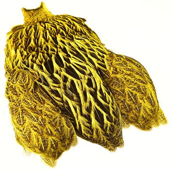 Freshwater Hen Capes Yellow