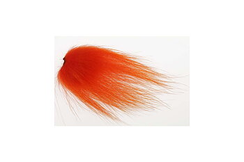 Isbjörn Burnt Orange