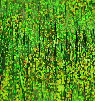 Bauer Pike Flash Chartreuse