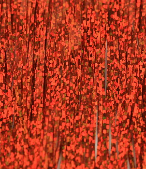 Bauer Pike Flash Orange