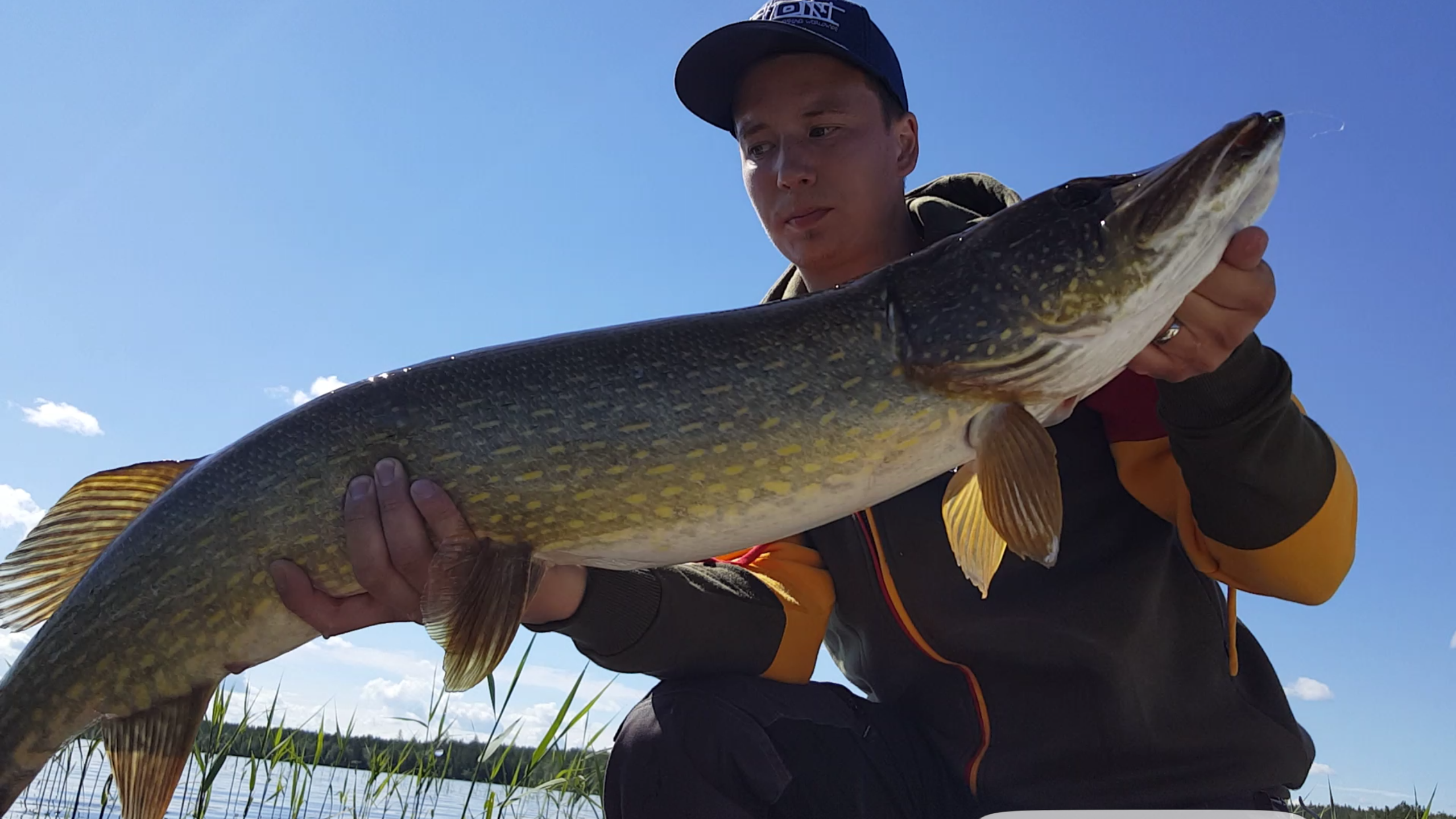 111cm Magnus Renström