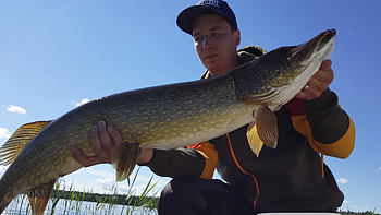 111cm Magnus Renström