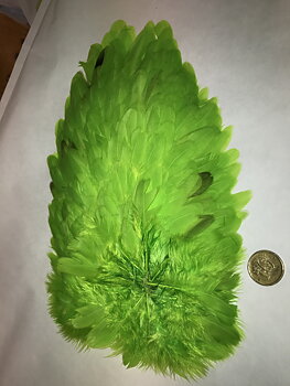 Whiting 4B Hen Saddle Fluo Chartreuse