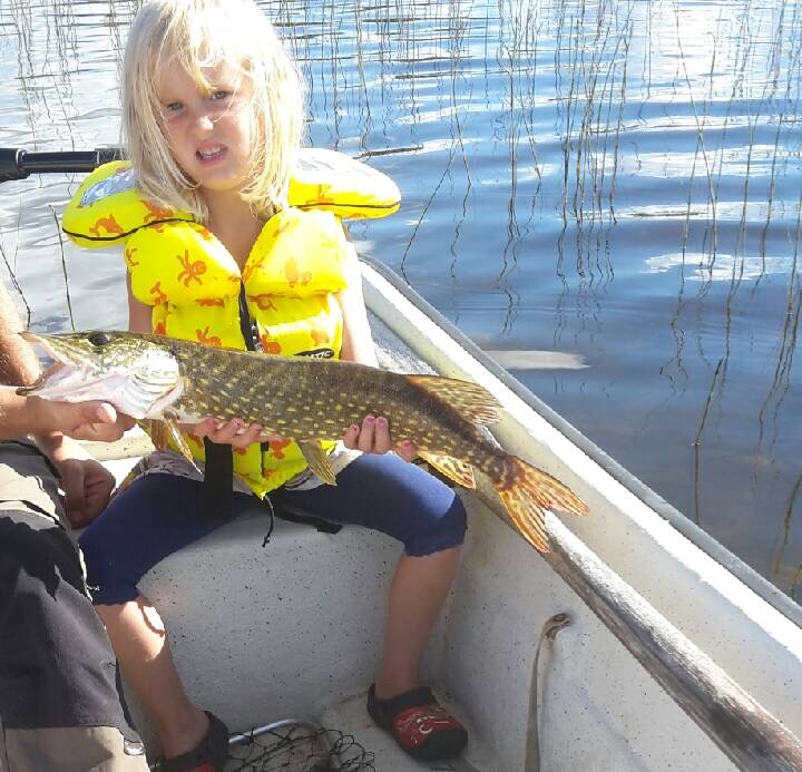 61cm Ebba Larsson