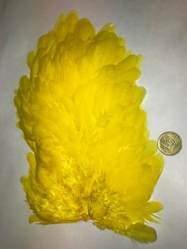 Whiting 4B Hen Saddle Yellow