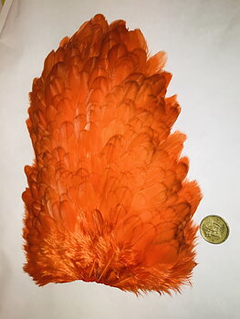 Whiting 4B Hen Saddle Orange