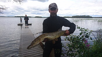 85cm Jörgen Marklund