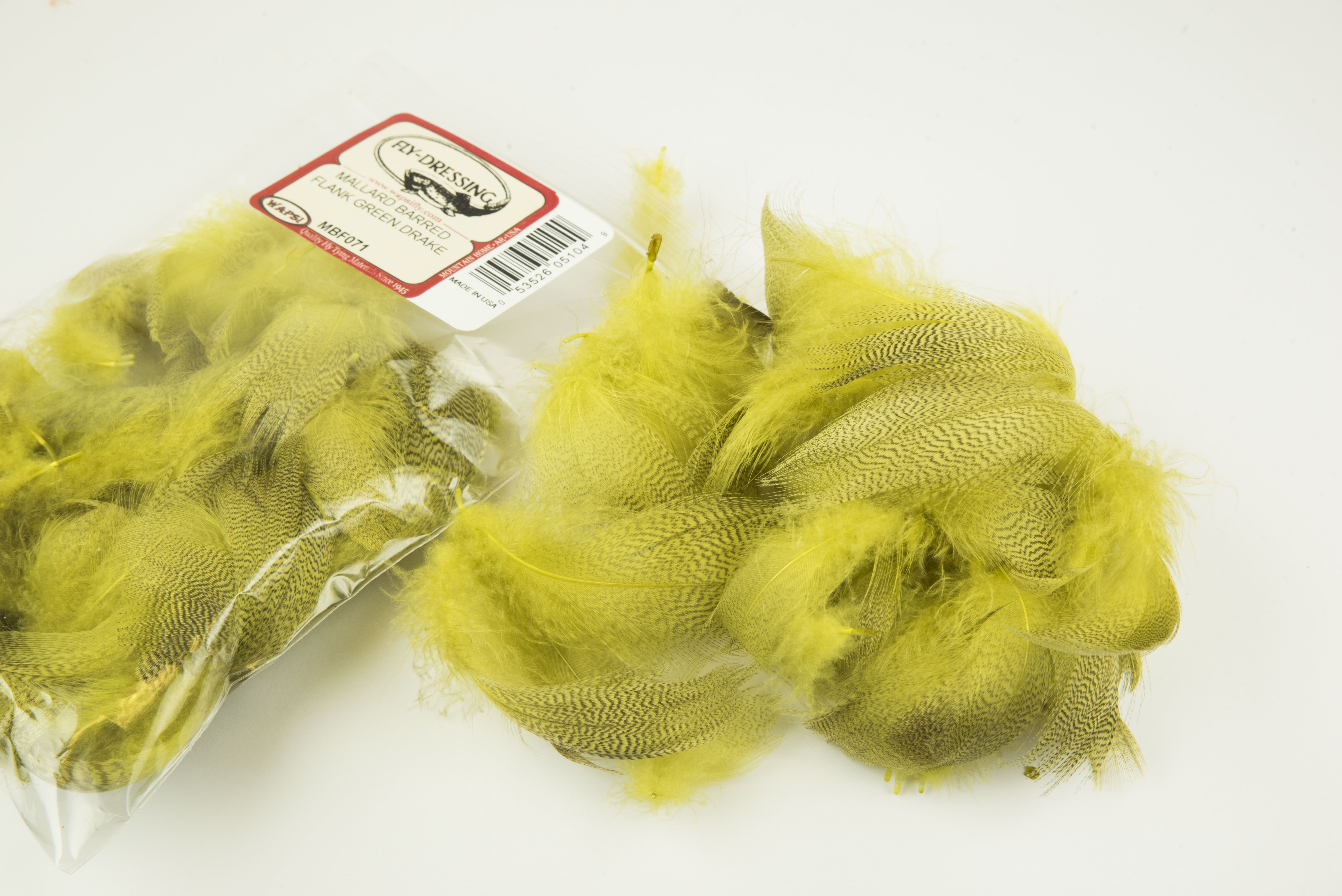 Mallard Barred Flank -Green Drake