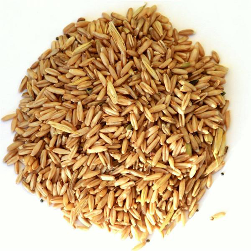 Naken havre 5 kg
