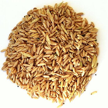 Naken havre 5 kg