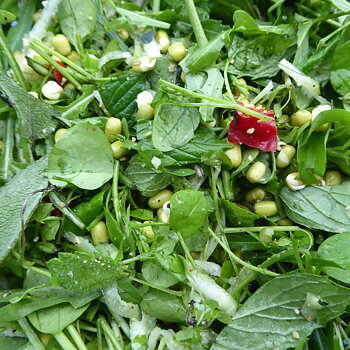 Mungbönor 1 kg