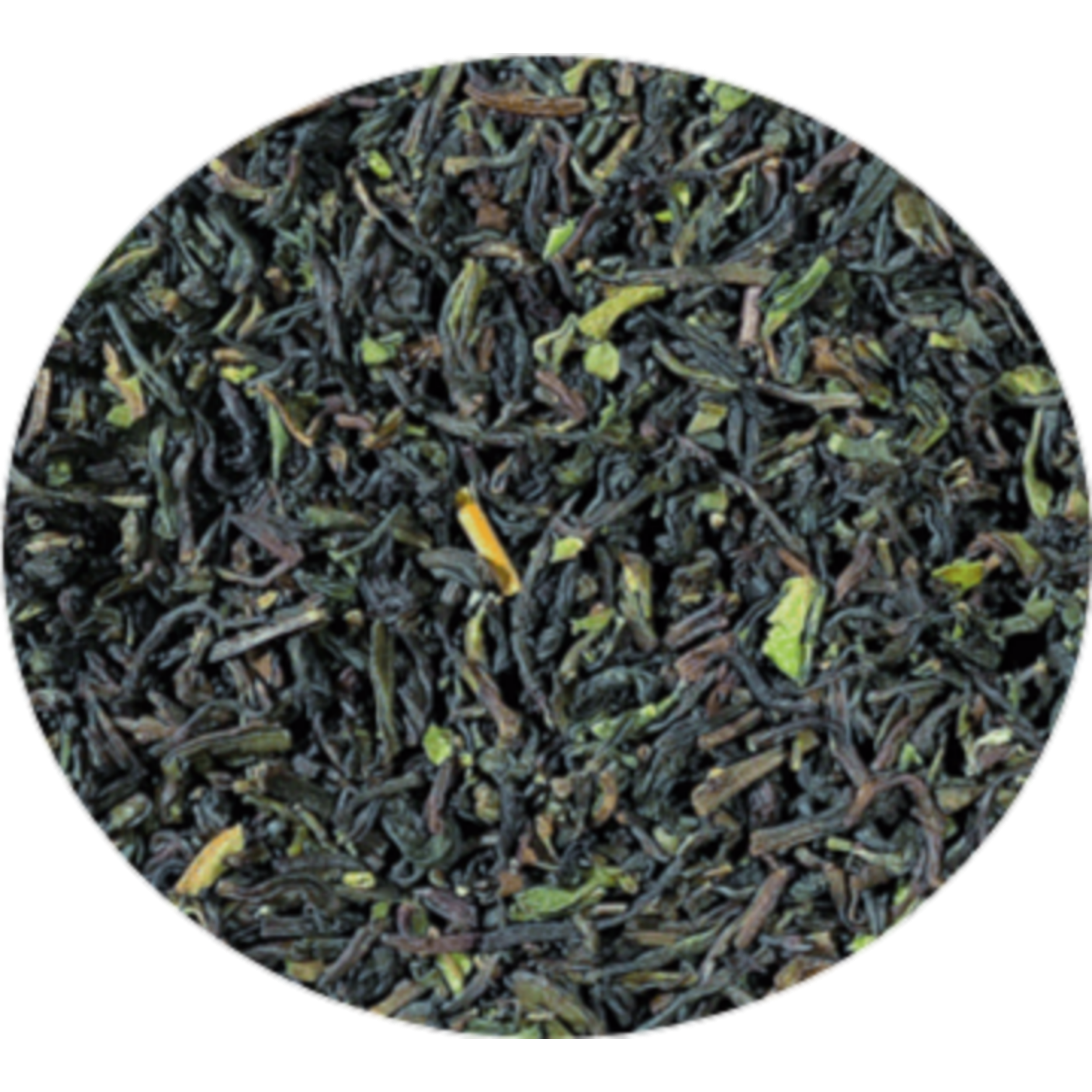 Darjeeling TGFOP Lingia EKO
