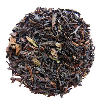 Darjeeling Autumnal