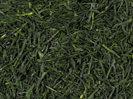 Japansk Gyokuro Shincha EKO