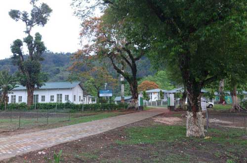 Assam Hathikuli - EKO - 3