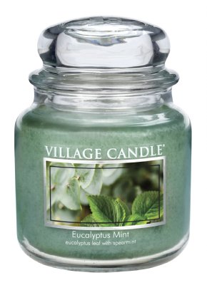 Eucalyptus Mint/16oz