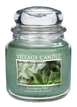 Eucalyptus Mint/16oz