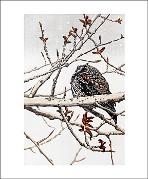 Waiting for Spring