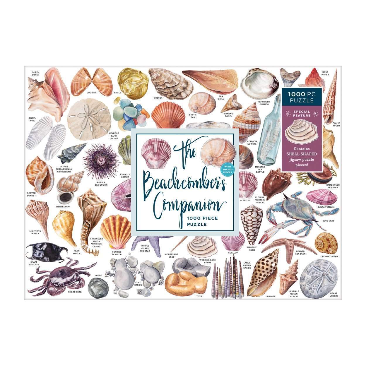 The Beachcomber's Companion 1000 Piece Jigsaw Puzzle With Shaped Pieces - 2