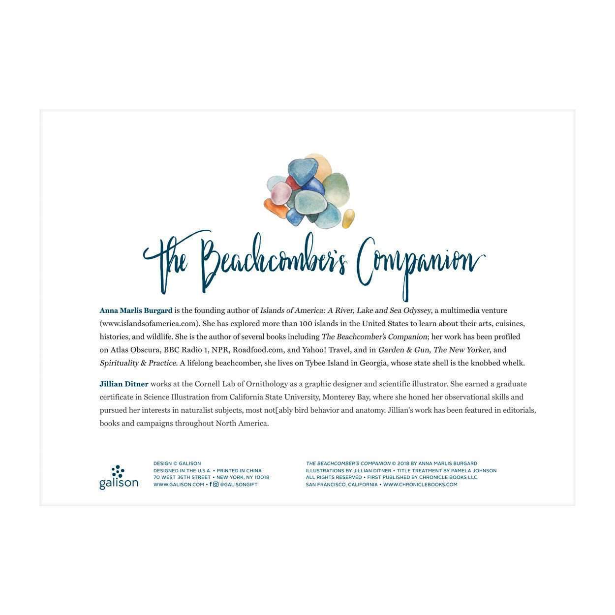 The Beachcomber's Companion 1000 Piece Jigsaw Puzzle With Shaped Pieces - 5