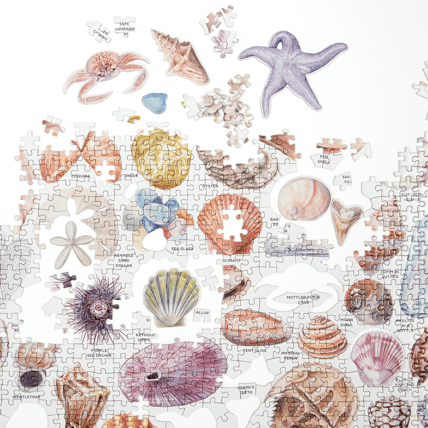 The Beachcomber's Companion 1000 Piece Jigsaw Puzzle With Shaped Pieces - 4