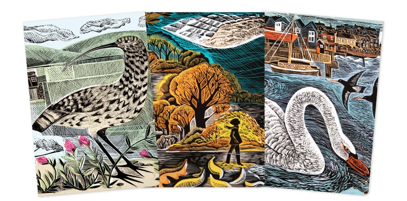 Angela Harding Set of 3 Midi Notebooks – Wildlife - 2