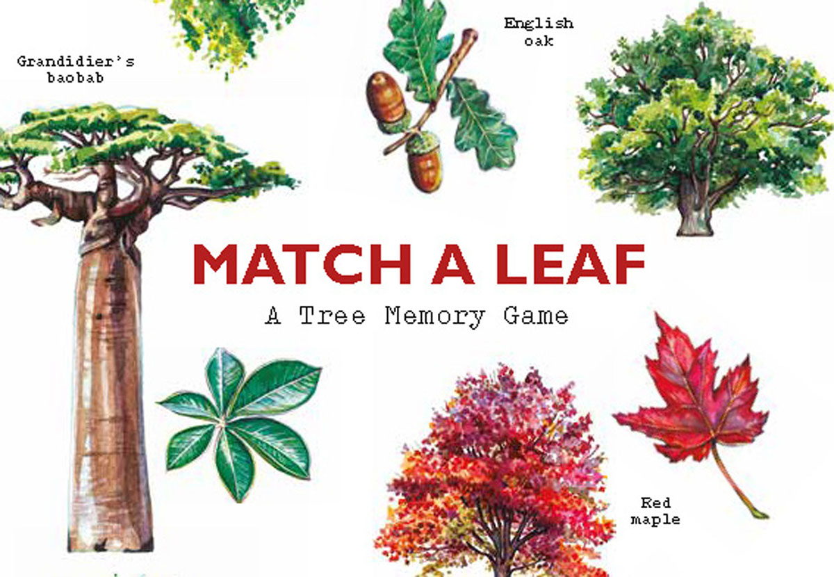 Match a Leaf: A Tree Memory Game