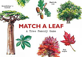 Match a Leaf: A Tree Memory Game