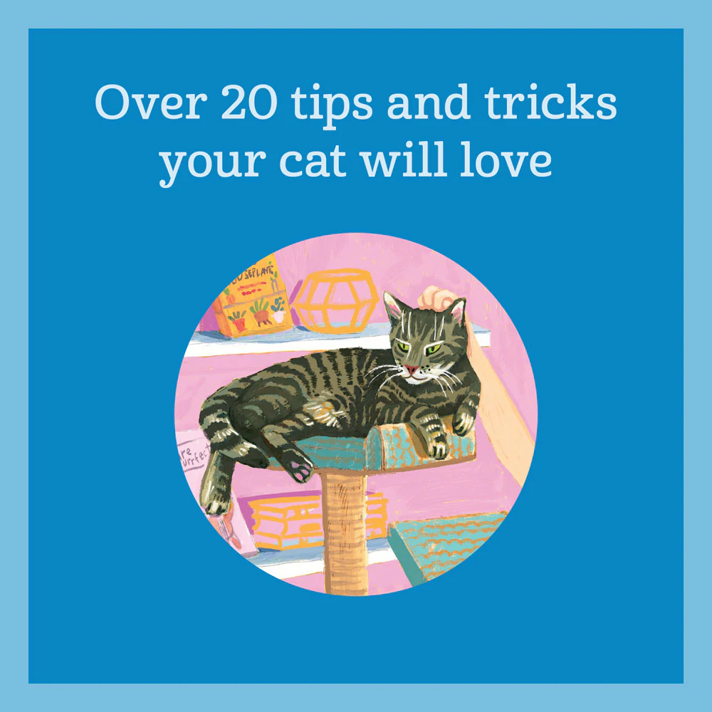 How to Pet a Cat, Book - 3