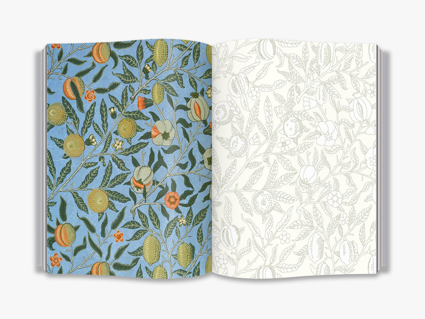William Morris An Arts & Crafts Colouring Book - 7