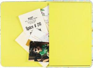 Birch Woods, Small Journal - 3