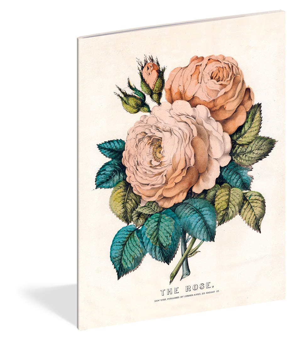 John Derian Paper Goods: Everything Roses Notebooks - 3