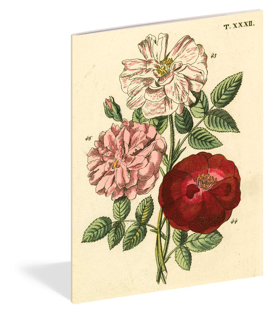 John Derian Paper Goods: Everything Roses Notebooks - 2